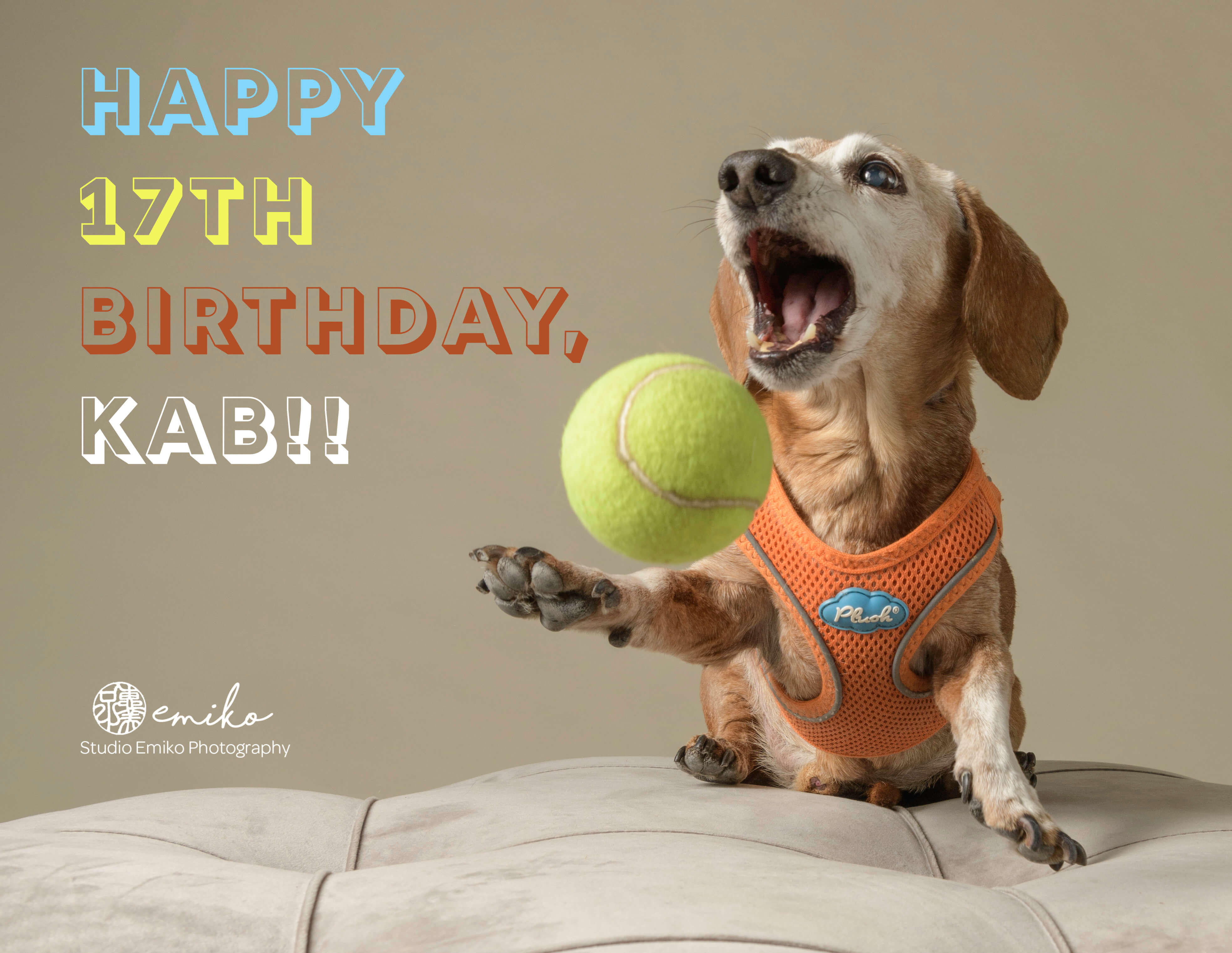 Happy Birthday KAB He Is 17 Today Studio Emiko Photography